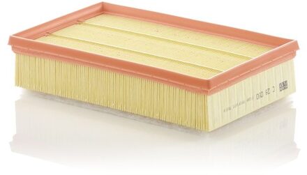 Ford Luchtfilter C28050