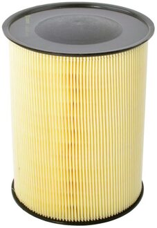 Ford Luchtfilter CA0003