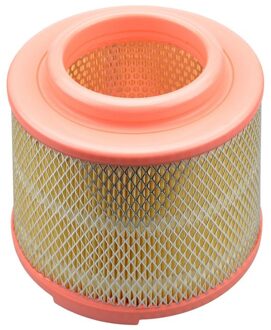 Ford Luchtfilter CA0253