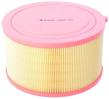 Ford Luchtfilter CA0421