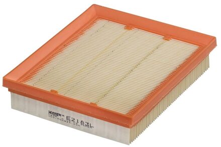 Ford Luchtfilter E2183L