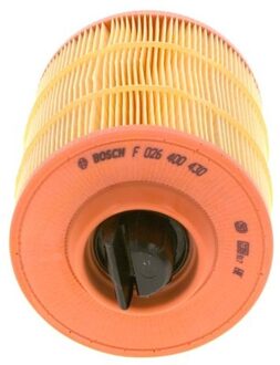 Ford Luchtfilterpatroon S0430