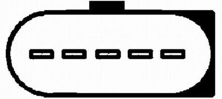 Ford Luchtmassameter