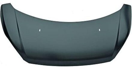 Ford Motorkap 1456000