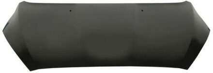 Ford Motorkap 6803002596280AP