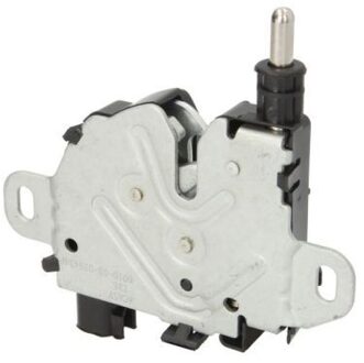 Ford Motorkapslot 601003038424P