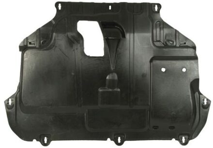 Ford Motorverkleding 6601050000040Q