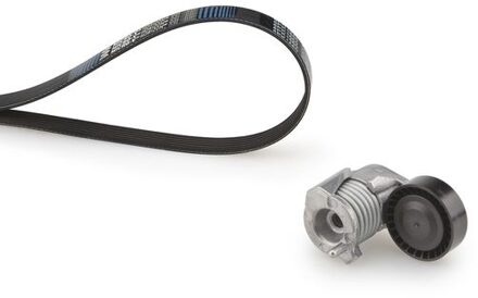 Ford Multiriem set K025PK848