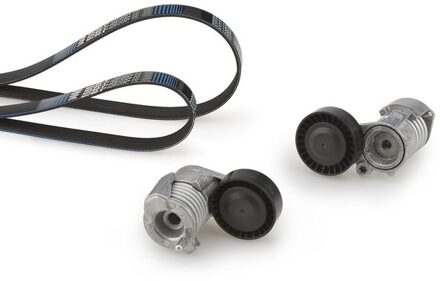 Ford Multiriem set K075PK890