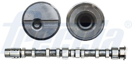 Ford Nokkenas CM052197