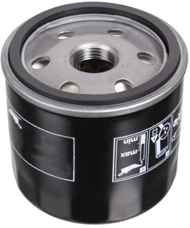 Ford Oliefilter 38813