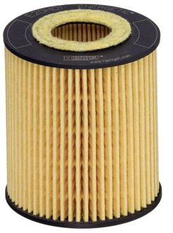 Ford Oliefilter E20H01D293