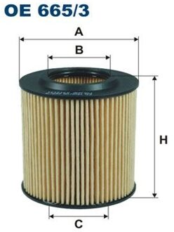 Ford Oliefilter OE6653