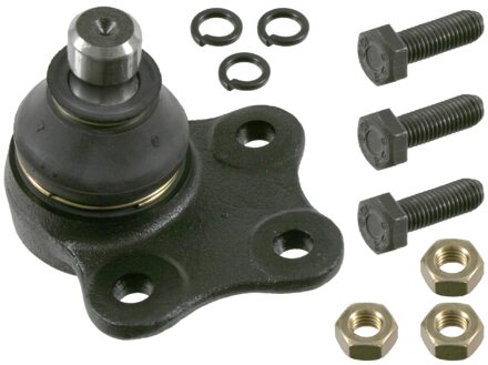 Ford Ondersteunende askoppeling