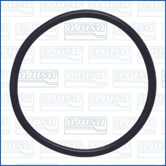 Ford Pakking, brandstofpomp 16117000