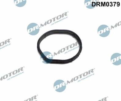 Ford Pakking, distributiecarterdeksel DRM0379