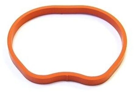 Ford Pakking, inlaatspruitstuk 025260