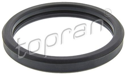 Ford Pakking, thermostaat 302261