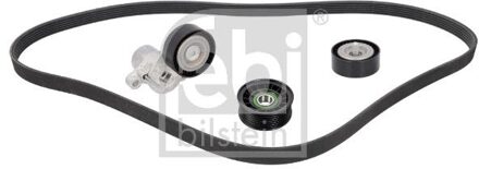 Ford Poly V-riem set 184826