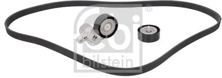 Ford Poly V-riem set 184895