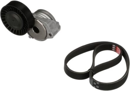 Ford Poly V-riem set K015PK1095