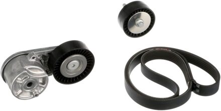 Ford Poly V-riem set K066PK1413