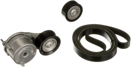 Ford Poly V-riem set K106PK1693