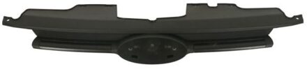 Ford Radiateurgrille 6502072512991P