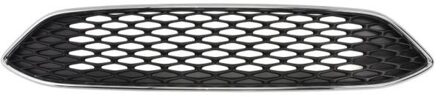 Ford Radiateurgrille 650207253699AP