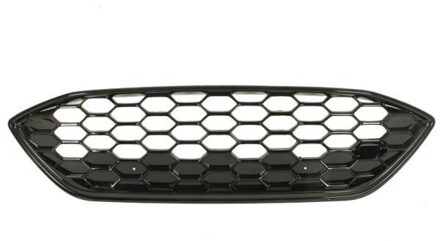 Ford Radiateurgrille 6502072537993P