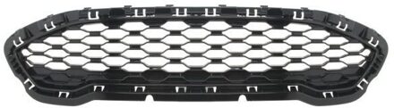 Ford Radiateurgrille 6502072566999P