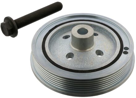 Ford Riemschijf, krukas