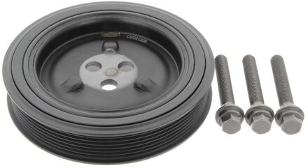 Ford Riemschijvenset, krukas 80004875