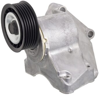 Ford Riemspanner 21779