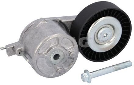 Ford Riemspanner, Poly V-riem 33112676