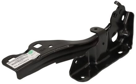 Ford Scharnier, motorkap 6802002504451P