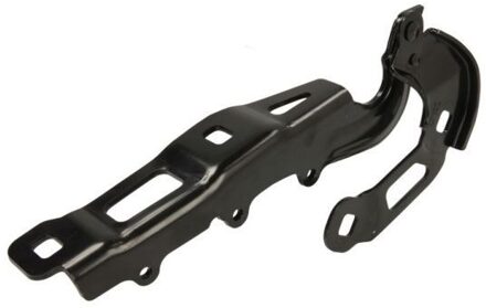 Ford Scharnier, motorkap 6802002537451P