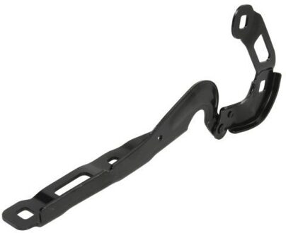 Ford Scharnier, motorkap 6802002537452P
