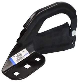 Ford Scharnier, motorkap 6802002579451P