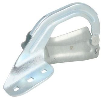 Ford Scharnier, motorkap 6802002579453P