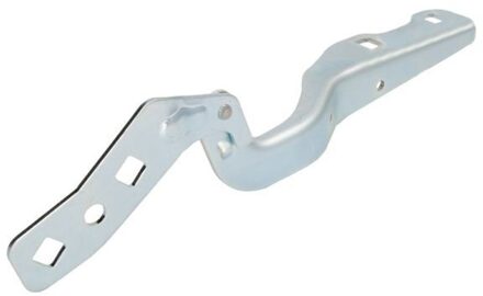 Ford Scharnier, motorkap 6802002596452P