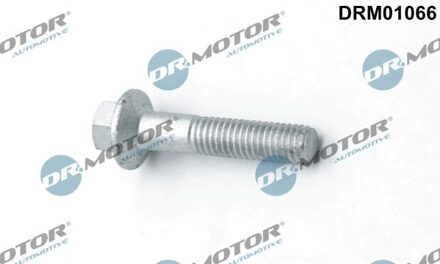 Ford Schroef, inspuitstukhouder DRM01066