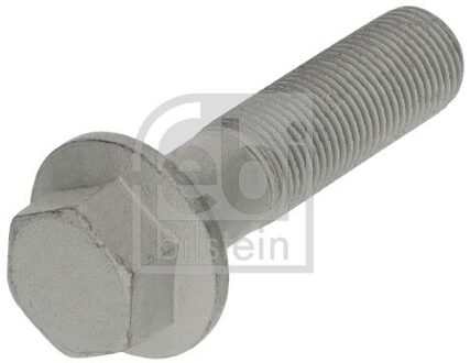 Ford Schroef, remschijf 194269