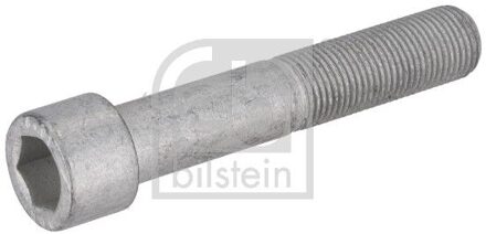 Ford Schroef, remschijf 195479