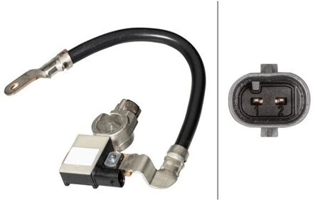 Ford Sensor, accumanagement 6PK010840911