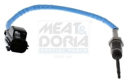 Ford Sensor, uitlaatgastemperatuur 12815