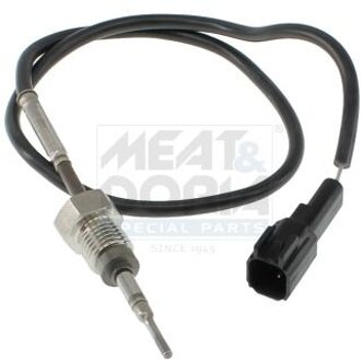 Ford Sensor, uitlaatgastemperatuur 12819