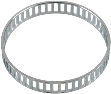 Ford Sensorring, ABS 171389