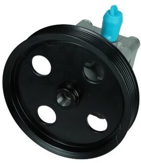 Ford Servo pomp 480167