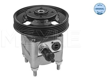 Ford Servo pomp 5146310021